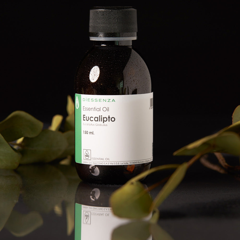 Olio Essenziale di Eucalipto Globulus per soia, cere naturali e da massaggio