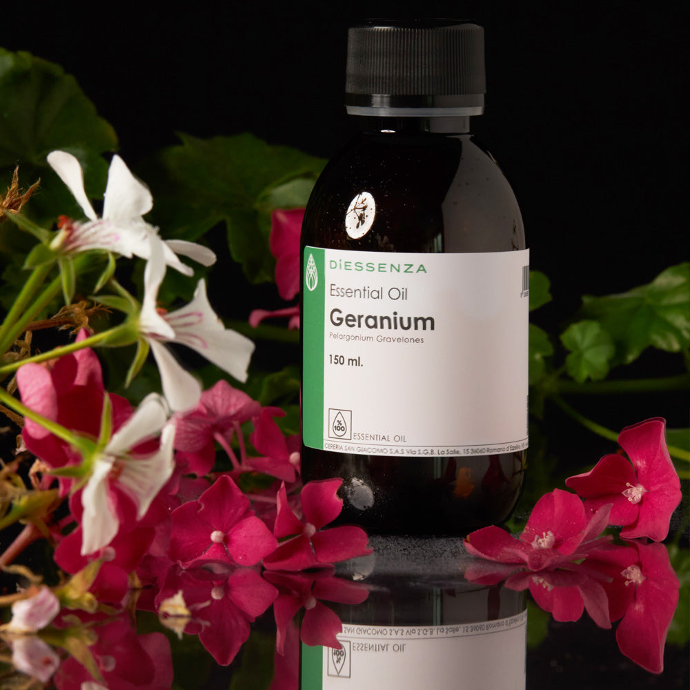 Olio Essenziale di Geranio per soia, cere naturali e da massaggio