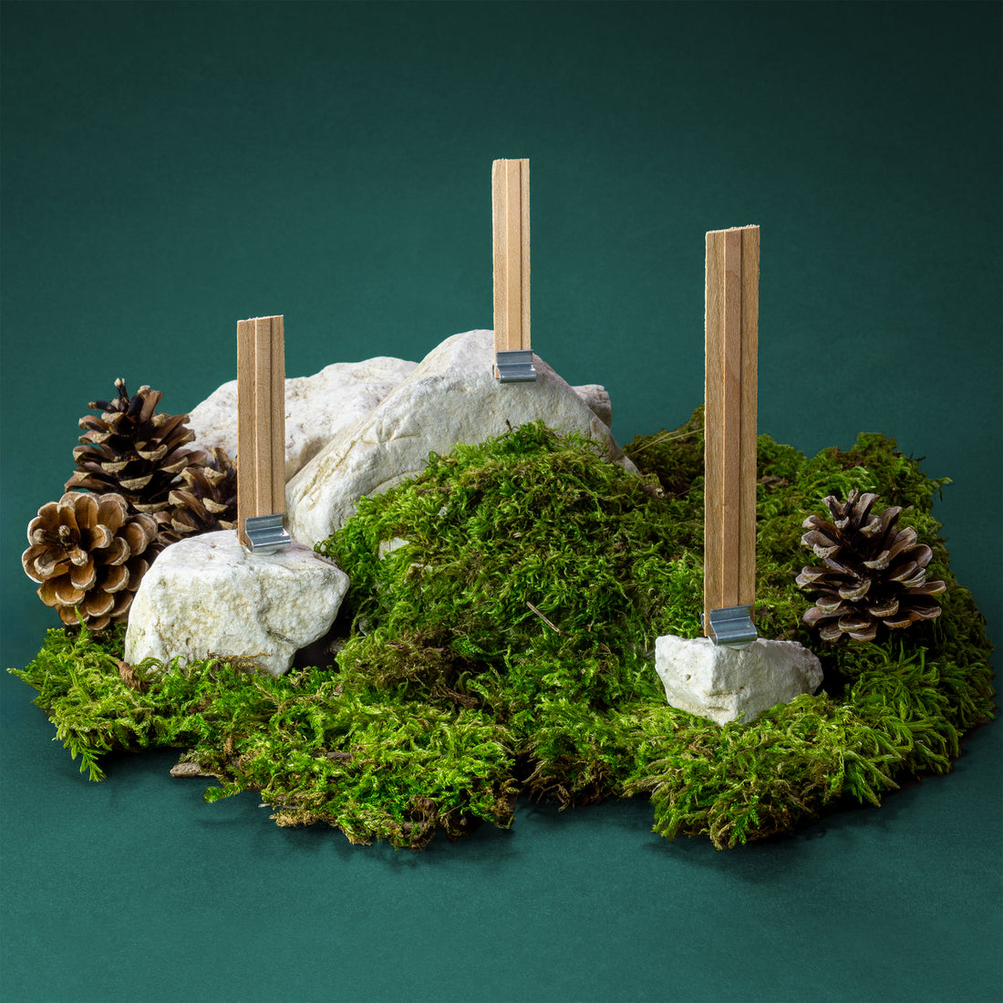 Stoppini in legno &quot;Crackling Booster&quot; con Clip di supporto confezione da 10